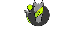 Dubai Polo Academy