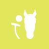 Dubai Polo Academy